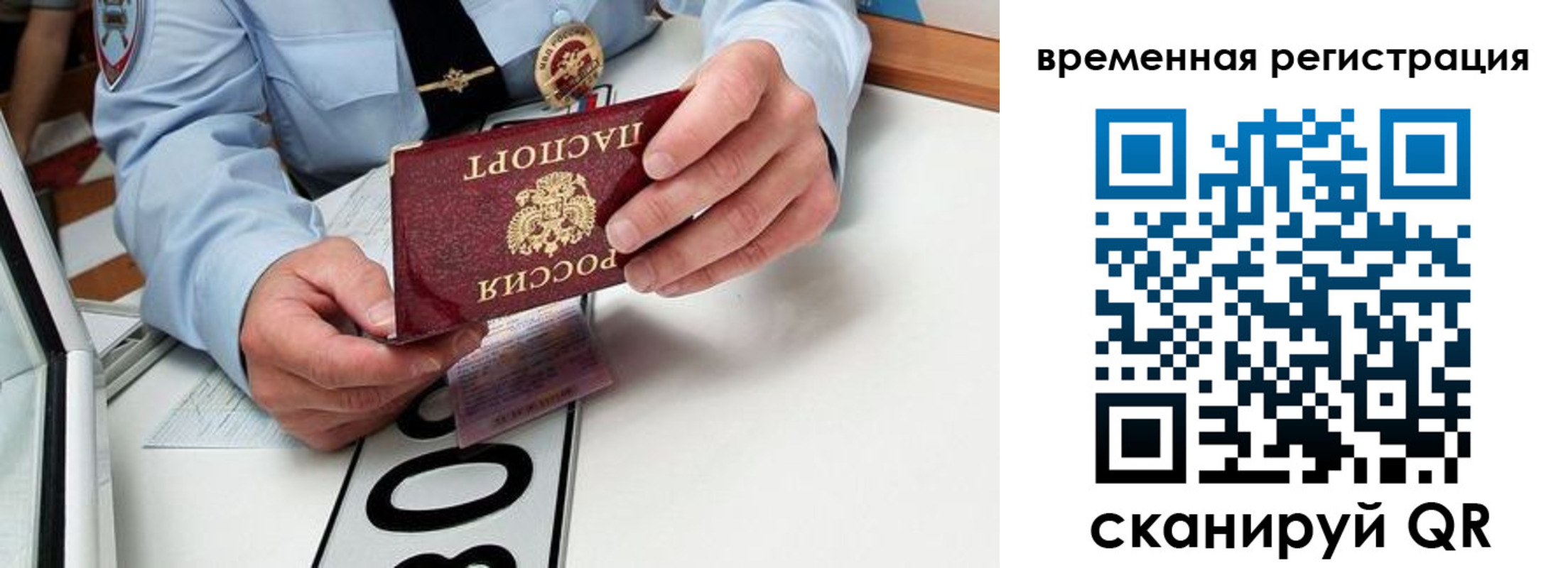 прописка гарантия в Колпашево